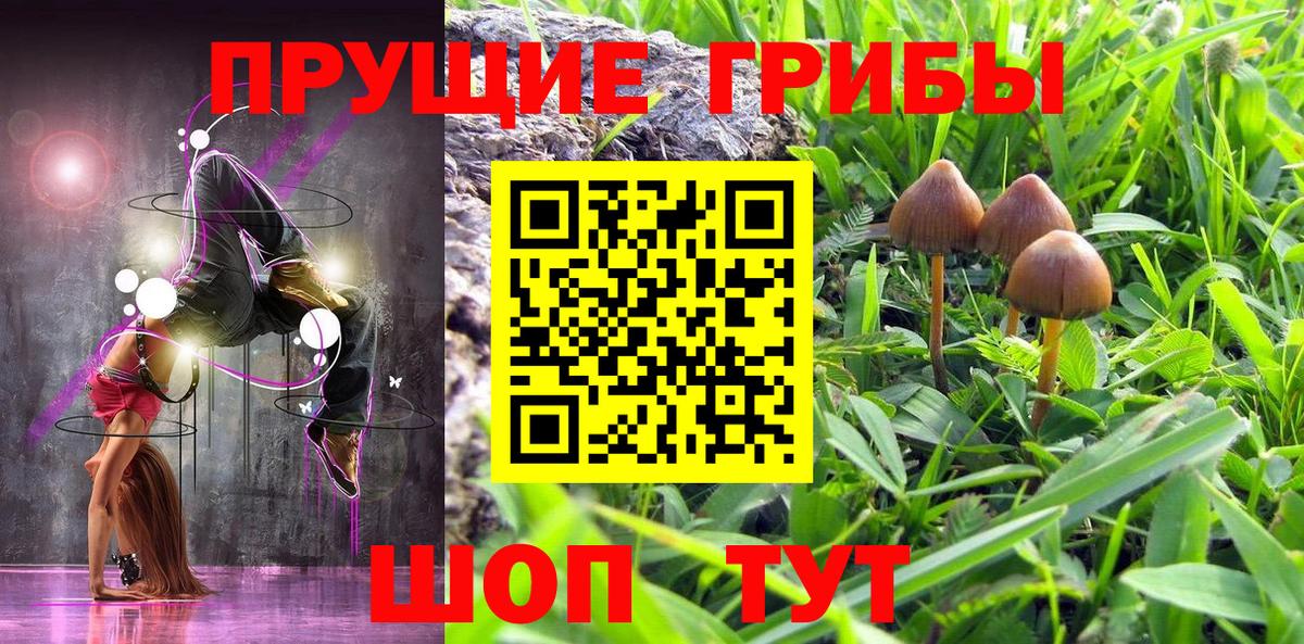 Галлюциногенные грибы Psilocybine cubensis  Вход с VPN  Псилоцибиновые грибы Magic Shrooms  Дивногорск 